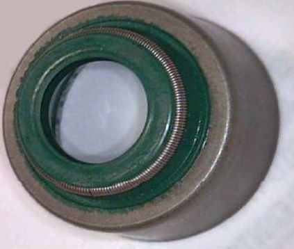 CORTECO 19036761 Seal Ring, valve stem