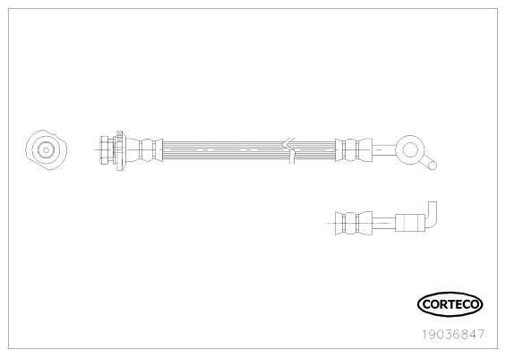 CORTECO 19036847 Brake Hose