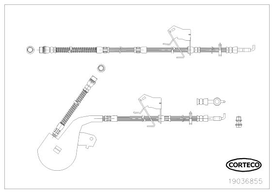 CORTECO 19036855 Brake Hose