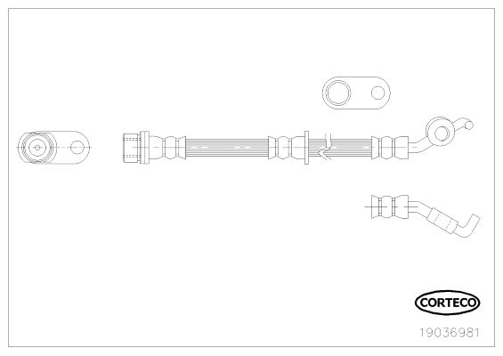CORTECO 19036981 Brake Hose