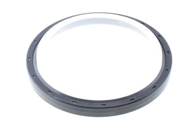 Shaft Seal, crankshaft CORTECO 19037223B