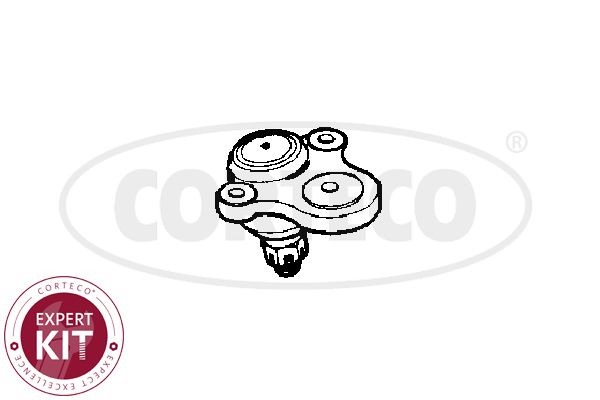 CORTECO 49395646 Ball Joint