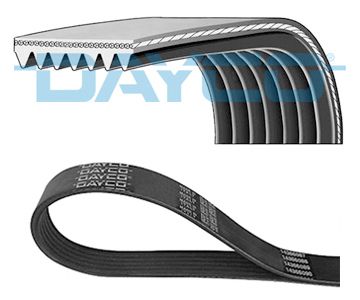 DAYCO 7PK2081 V-Ribbed Belt