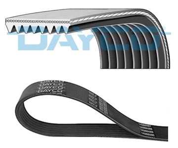 V-Ribbed Belt DAYCO 8PK1202HD