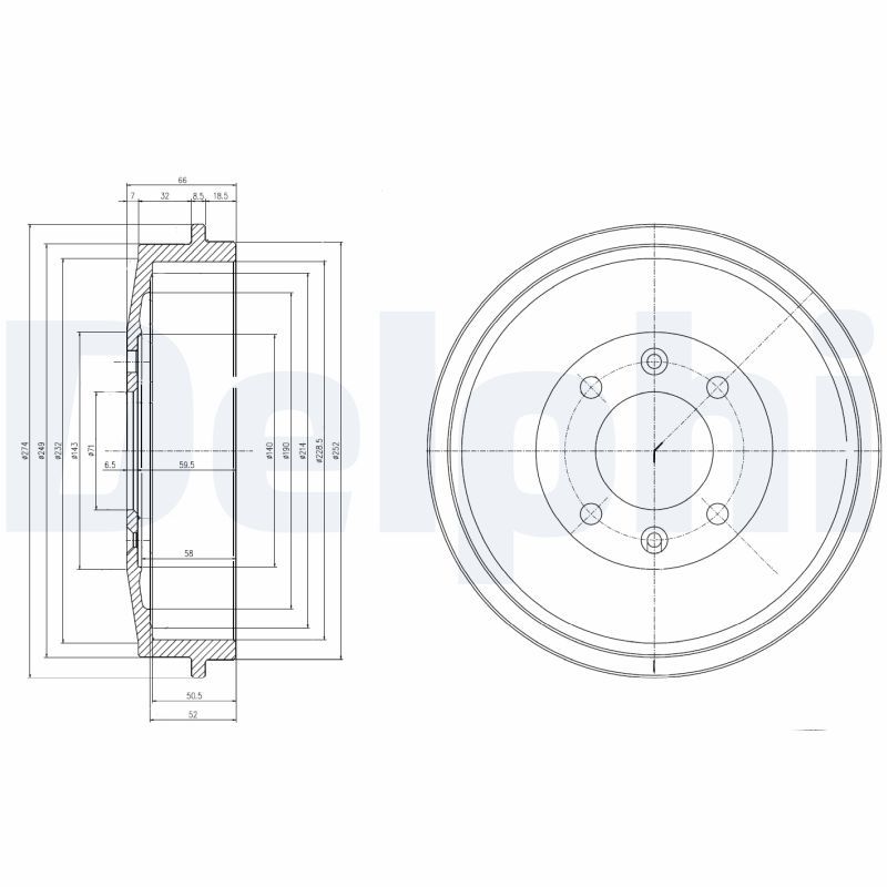 DELPHI BF169 Brake Drum