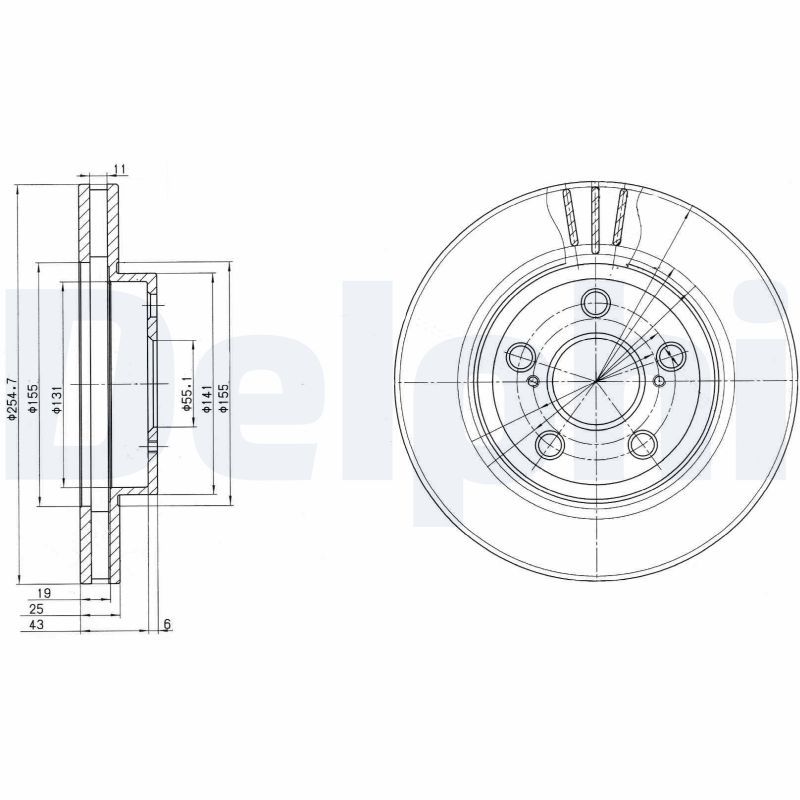 DELPHI BG2880 Brake Disc