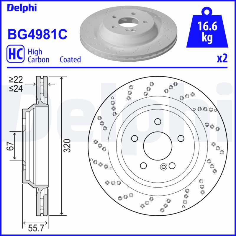 DELPHI BG4981C Brake Disc