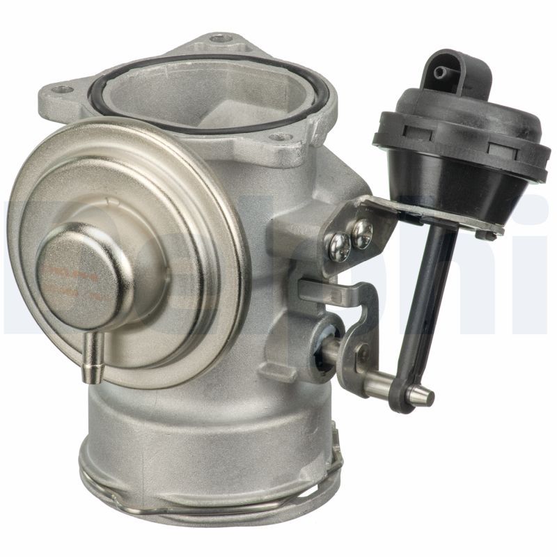 DELPHI EG10409-12B1 EGR Valve