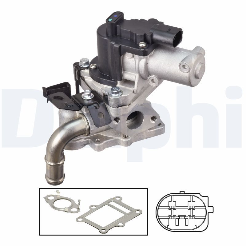 DELPHI EG10613-12B1 EGR Valve