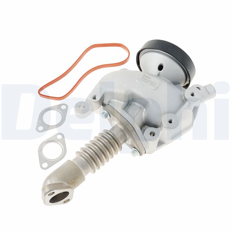 DELPHI EG10619-12B1 EGR Valve