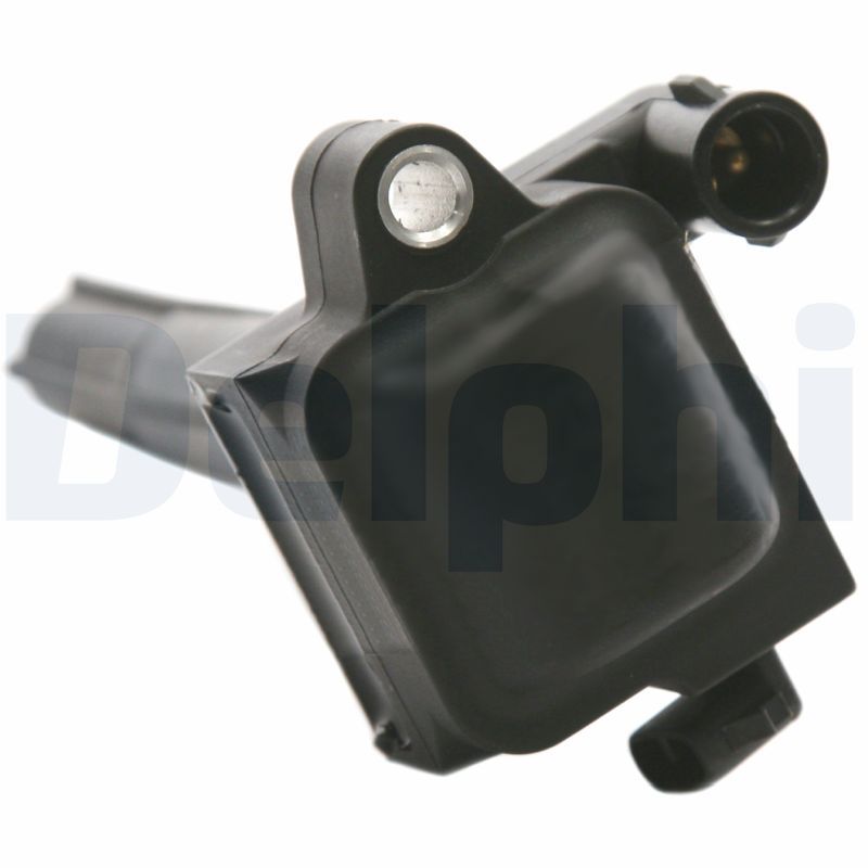 DELPHI GN10218-12B1 Ignition Coil