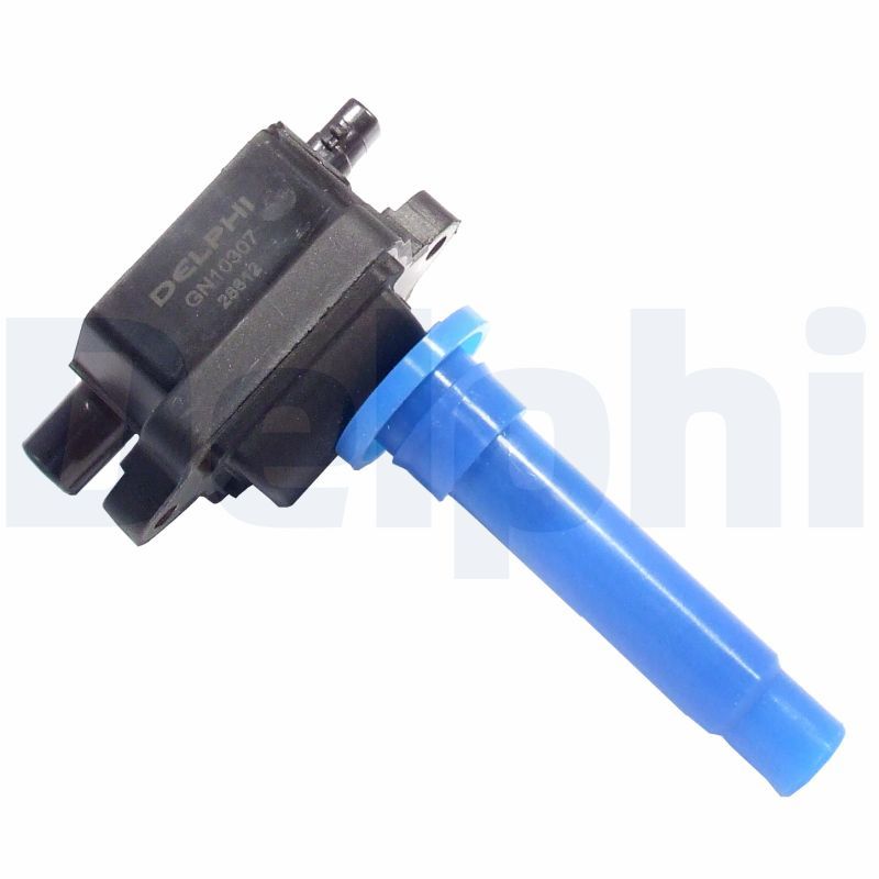DELPHI GN10307-12B1 Ignition Coil