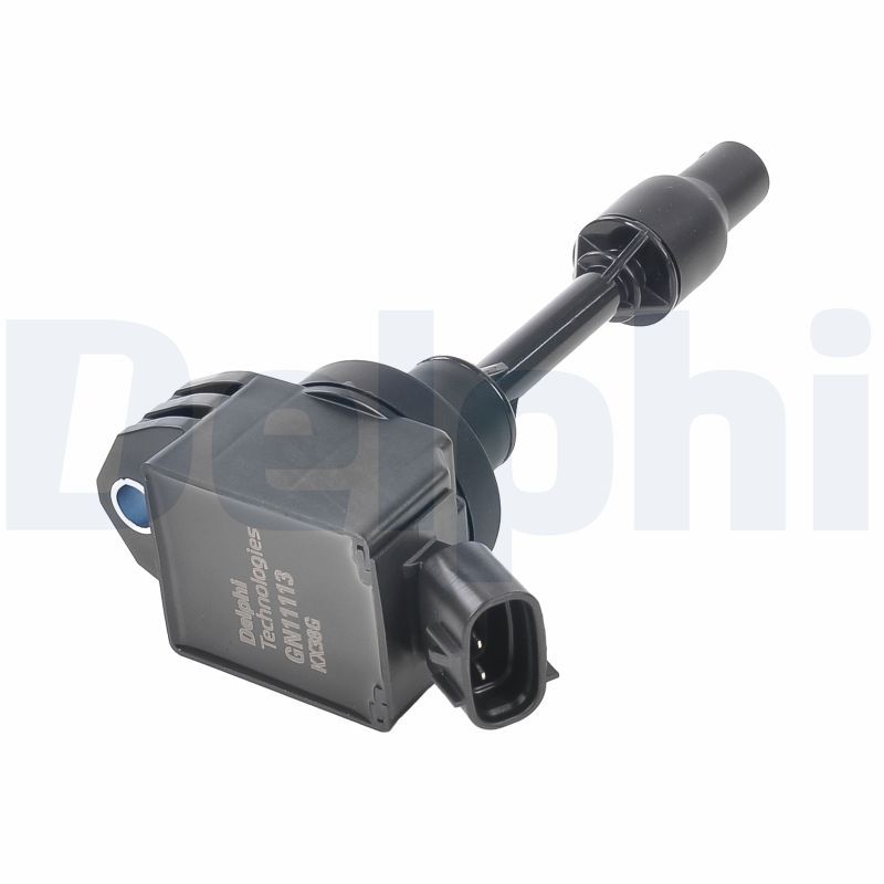 DELPHI GN11113-12B1 Ignition Coil