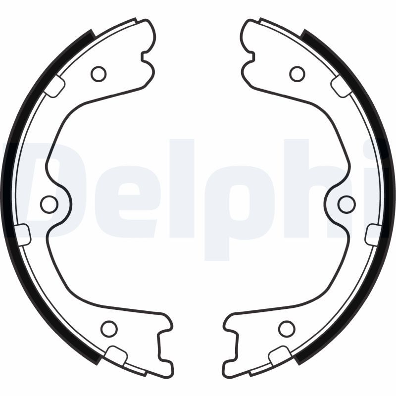 DELPHI LS2032 Brake Shoe Set, parking brake