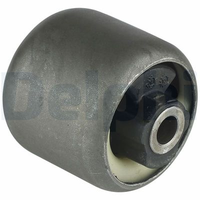 Bushing, axle beam DELPHI TD892W