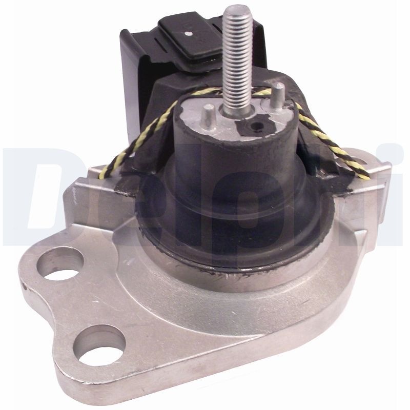 DELPHI TEM008 Mounting, engine