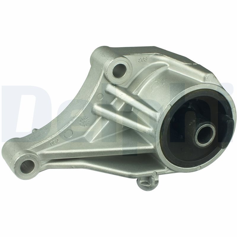 DELPHI TEM031 Mounting, engine