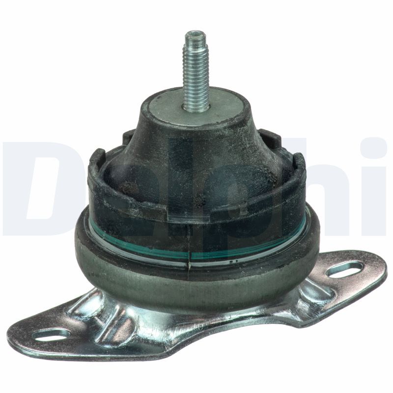 DELPHI TEM075 Mounting, engine