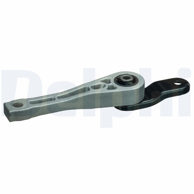 DELPHI TEM101 Mounting, engine