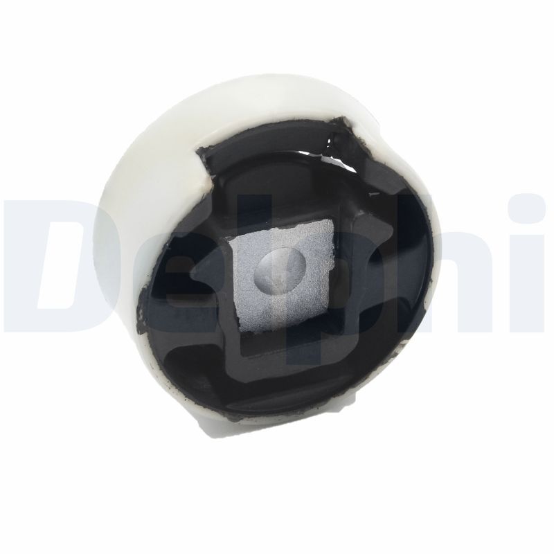 DELPHI TEM122 Mounting, engine