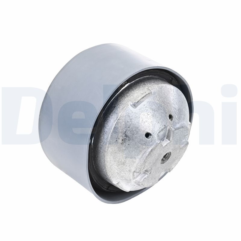DELPHI TEM134 Mounting, engine