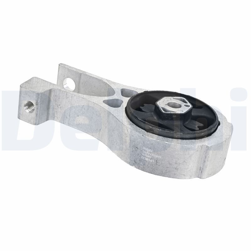DELPHI TEM141 Mounting, engine