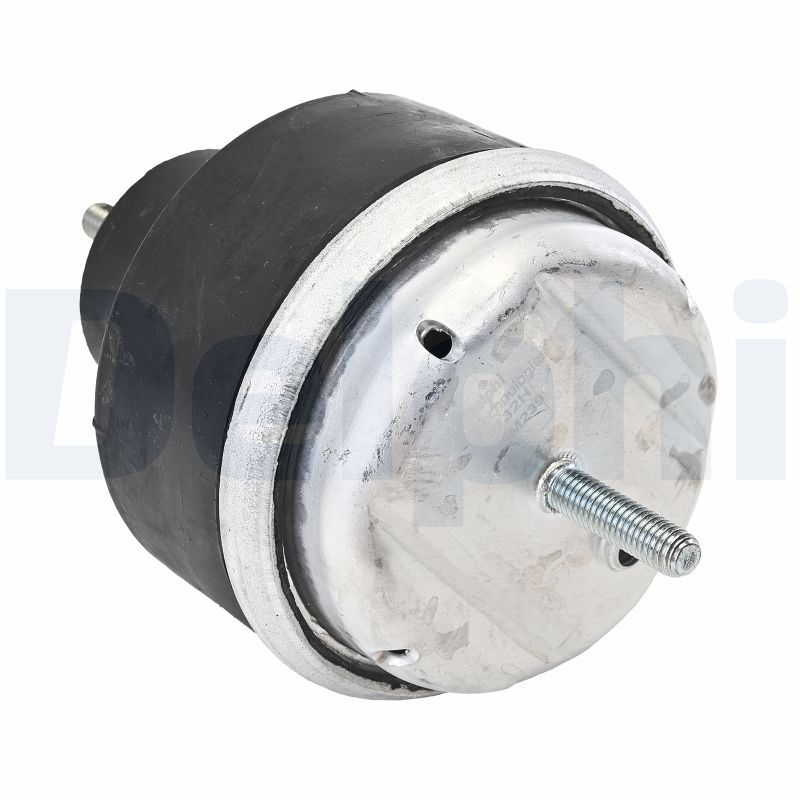 DELPHI TEM239 Mounting, engine