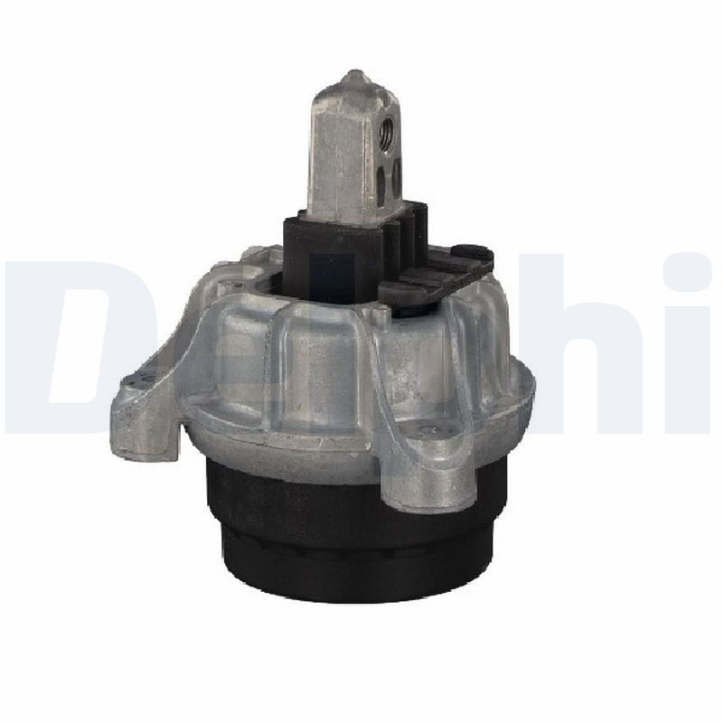 DELPHI TEM253 Mounting, engine