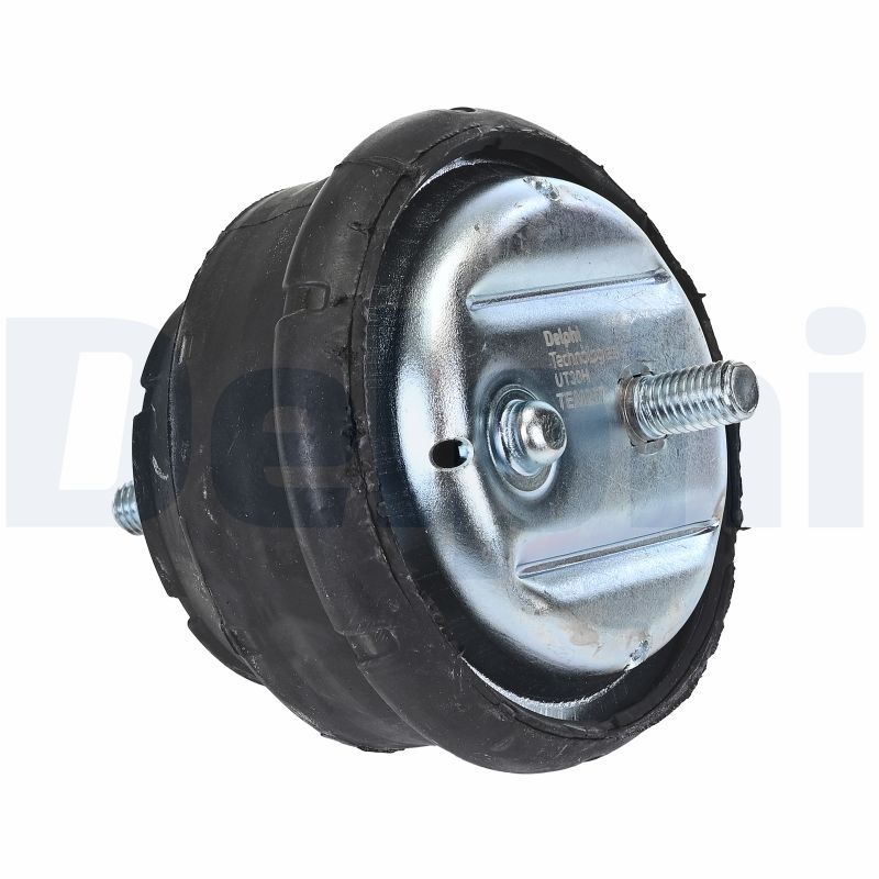 DELPHI TEM257 Mounting, engine