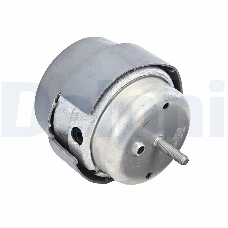 DELPHI TEM288 Mounting, engine