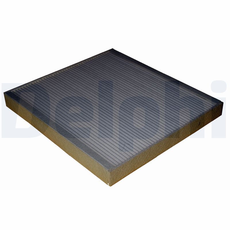 DELPHI TSP0325244 Filter, cabin air