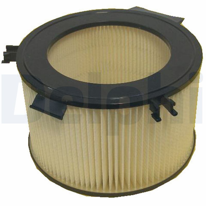 DELPHI TSP0325304 Filter, cabin air