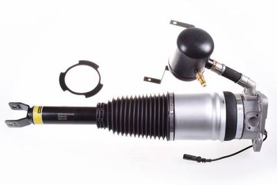 Air Suspension Strut DENCKERMANN DSA012G