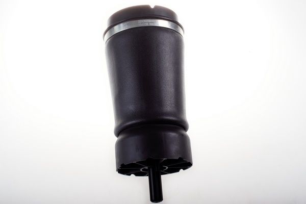 DENCKERMANN DSA112G Air Spring, suspension