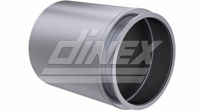Catalytic Converter DINEX 5AI001