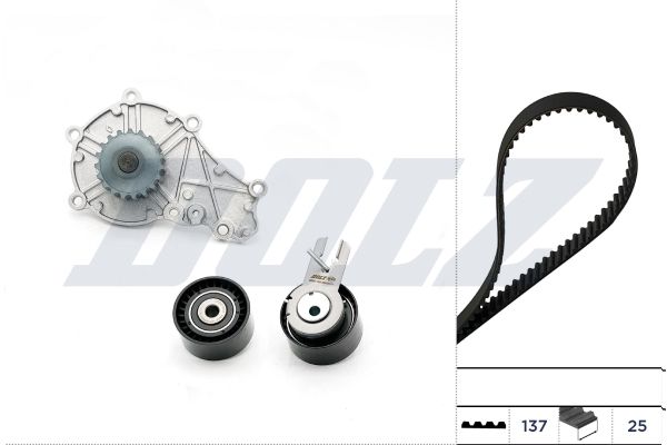 DOLZ KD016 Water Pump & Timing Belt Kit