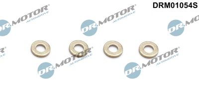 Heat Shield, injection system Dr.Motor Automotive DRM01054S