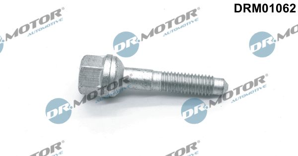 Dr.Motor Automotive DRM01062 Screw, injection nozzle holder