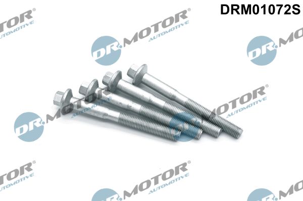 Dr.Motor Automotive DRM01072S Screw, injection nozzle holder