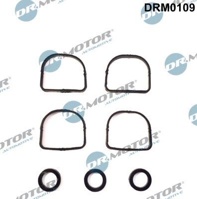 Dr.Motor Automotive DRM0109 Gasket Set, intake manifold