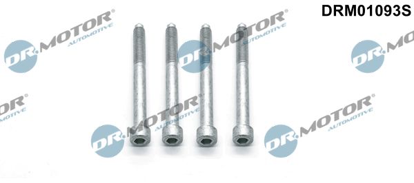 Dr.Motor Automotive DRM01093S Screw, injection nozzle holder