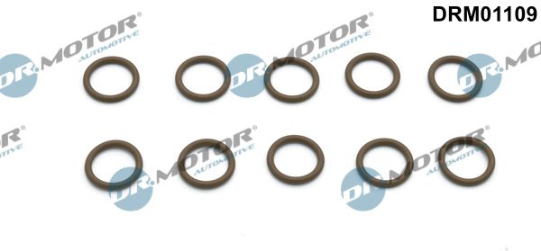 Dr.Motor Automotive DRM01109 Repair Kit, air conditioning