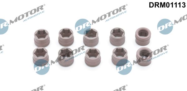 Dr.Motor Automotive DRM01113 Repair Kit, air conditioning