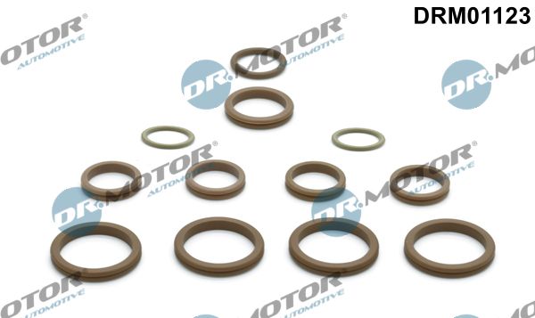 Dr.Motor Automotive DRM01123 Repair Kit, air conditioning
