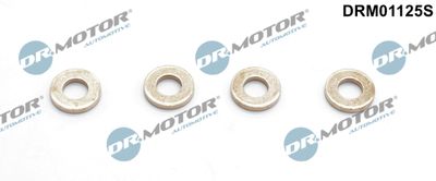 Heat Shield, injection system Dr.Motor Automotive DRM01125S