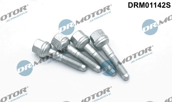 Dr.Motor Automotive DRM01142S Screw, injection nozzle holder