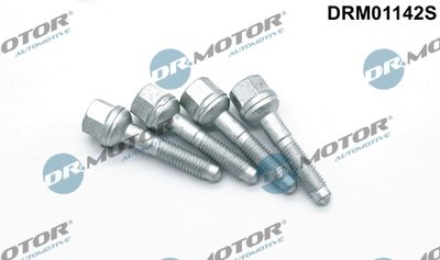 Screw, injection nozzle holder Dr.Motor Automotive DRM01142S