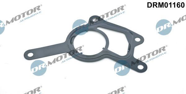 Dr.Motor Automotive DRM01160 Gasket, vacuum pump