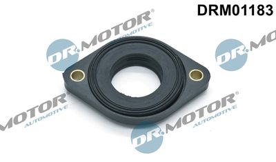 Seal, camshaft adjustment Dr.Motor Automotive DRM01183