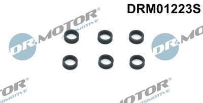 Seal Ring, injector Dr.Motor Automotive DRM01223S
